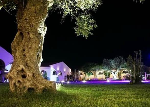 Masseria Colle Carro Ba07200451000019667 Altamura Exteriér fotografie