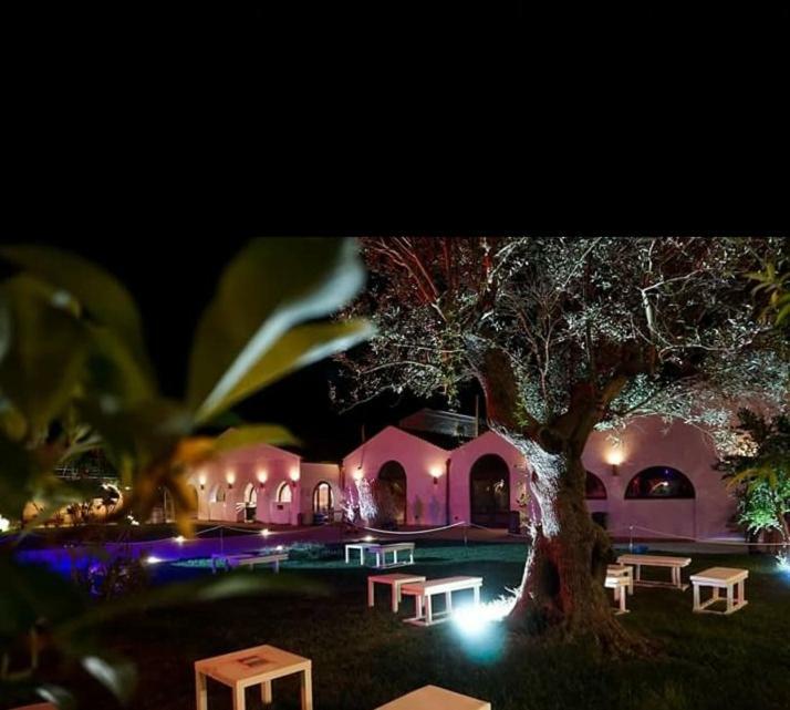 Masseria Colle Carro Ba07200451000019667 Altamura Exteriér fotografie